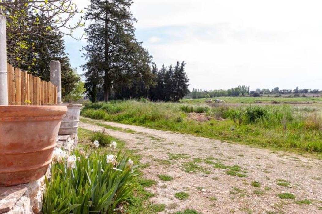 Casa Cote Sud - Mas Bois Fontaine Villa Nîmes Exteriör bild