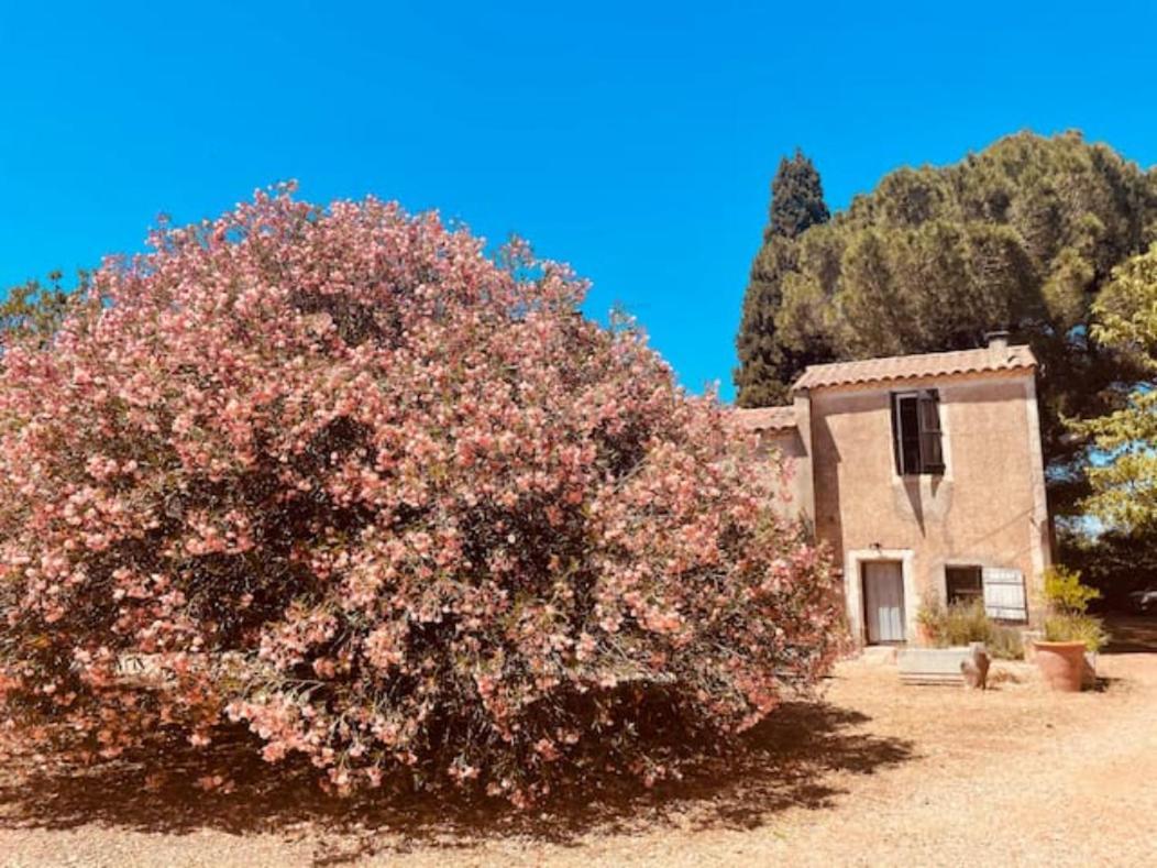 Casa Cote Sud - Mas Bois Fontaine Villa Nîmes Exteriör bild